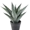 Castorama Agave Artificielle -Terreau, gazon, traitement, végétal, semence Soldes Boutique agave artificielle3700543519683 01c FR CF