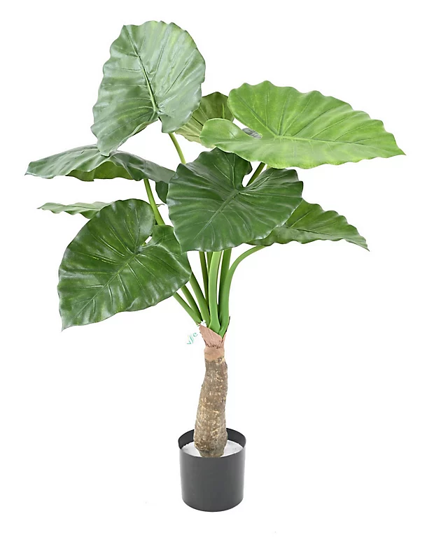 Castorama Alocasia Calidora Artificielle H.80 Cm 3 Castorama Alocasia Calidora Artificielle H.80 Cm