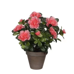 Castorama Azalea Pêche Artificiel 20 X H.27 Cm En Pot Stan Gris ø11,5 Cm