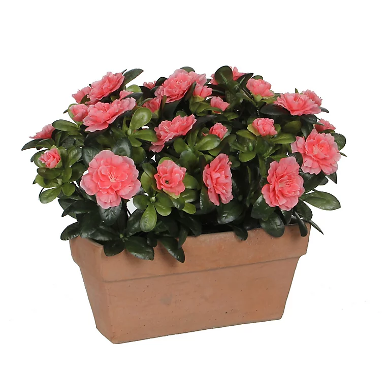 Castorama Azalea Pêche Artificiel 29 X 13 X H.27 Cm En Jardinière 3 Castorama Azalea Pêche Artificiel 29 X 13 X H.27 Cm En Jardinière