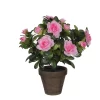 Castorama Azalea Rose Artificiel 20 X H.27 Cm En Pot Stan Gris ø11,5 Cm -Terreau, gazon, traitement, végétal, semence Soldes Boutique azalea rose artificiel 20 x h 27 cm en pot stan gris 11 5 cm8712799859227 01c FR CF