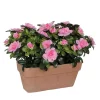 Castorama Azalea Rose Artificiel 29 X 13 X H.27 Cm En Jardinière -Terreau, gazon, traitement, végétal, semence Soldes Boutique azalea rose artificiel 29 x 13 x h 27 cm en jardiniere8712799859265 01c FR CF