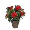 Castorama Azalea Rouge Artificiel 20 X H.27 Cm En Pot Stan Gris ø11,5 Cm 2 Castorama Azalea Rouge Artificiel 20 X H.27 Cm En Pot Stan Gris ø11,5 Cm -Terreau, gazon, traitement, végétal, semence Soldes Boutique azalea rouge artificiel 20 x h 27 cm en pot stan gris 11 5 cm8712799859210 01c FR CF