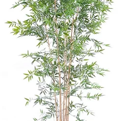Castorama Bambou Japanese Artificiel H.210 Cm