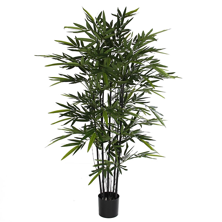 Castorama Bambou Noir Artificiel En Pot Plastique ø75 X H.150 Cm 3 Castorama Bambou Noir Artificiel En Pot Plastique ø75 X H.150 Cm