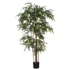 Castorama Bambou Vert Artificiel En Pot Plastique ø75 X H.180 Cm 2 Castorama Bambou Vert Artificiel En Pot Plastique ø75 X H.180 Cm -Terreau, gazon, traitement, végétal, semence Soldes Boutique bambou vert artificiel en pot plastique 75 x h 180 cm8712293921857 01c FR CF