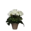 Castorama Begonia Blanc Artificiel ø20 X H.25 Cm En Pot Stan Gris ø9 Cm