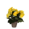 Castorama Begonia Jaune Artficiel ø20 X H.25 Cm En Pot Stan Gris ø9 Cm