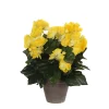 Castorama Begonia Jaune Artificiel ø25 X H.30 Cm En Pot Stan Gris ø11,5 Cm
