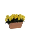 Castorama Begonia Jaune Artificiel En Jardinière Slate Terra 29 X 13 X H.25 Cm -Terreau, gazon, traitement, végétal, semence Soldes Boutique begonia jaune artificiel en jardiniere slate terra 29 x 13 x h 25 cm8712799726949 01c FR CF