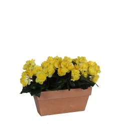 Castorama Begonia Jaune Artificiel En Jardinière Slate Terra 29 X 13 X H.25 Cm