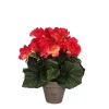 Castorama Begonia Rose Foncé Artficiel ø20 X H.25 Cm En Pot Stan Gris ø9 Cm 2 Castorama Begonia Rose Foncé Artficiel ø20 X H.25 Cm En Pot Stan Gris ø9 Cm -Terreau, gazon, traitement, végétal, semence Soldes Boutique begonia rose fonce artficiel 20 x h 25 cm en pot stan gris 9 cm8712293770066 01c FR CF