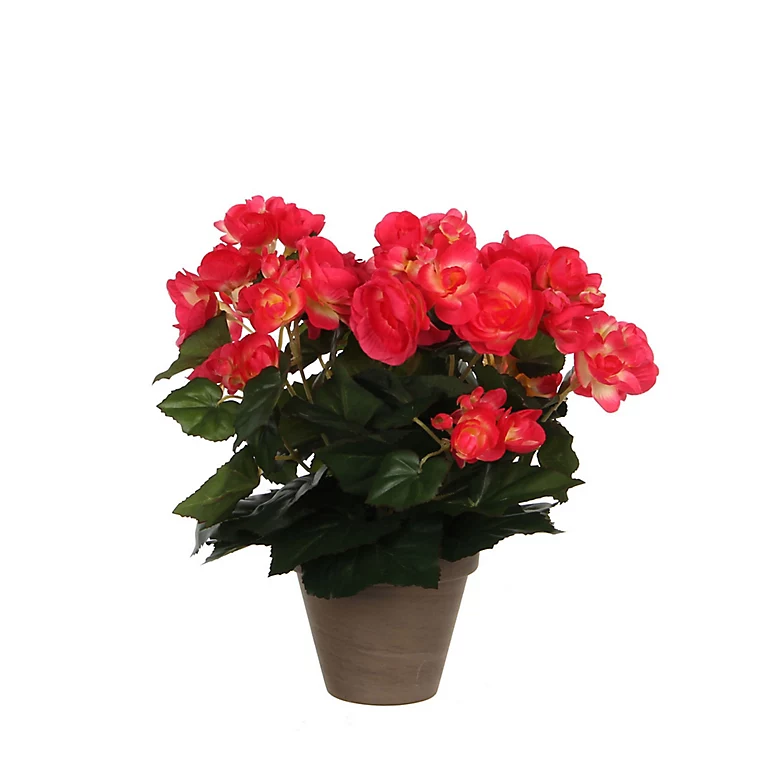 Castorama Begonia Rose Foncé Artificiel ø25 X H.30 Cm En Pot Stan Gris ø11,5 Cm 3 Castorama Begonia Rose Foncé Artificiel ø25 X H.30 Cm En Pot Stan Gris ø11,5 Cm