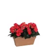 Castorama Begonia Rose Foncé Artificiel En Jardinière Slate Terra 29 X 13 X H.25 Cm