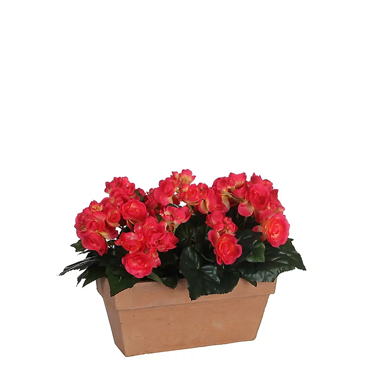 Castorama Begonia Rose Foncé Artificiel En Jardinière Slate Terra 29 X 13 X H.25 Cm 3 Castorama Begonia Rose Foncé Artificiel En Jardinière Slate Terra 29 X 13 X H.25 Cm