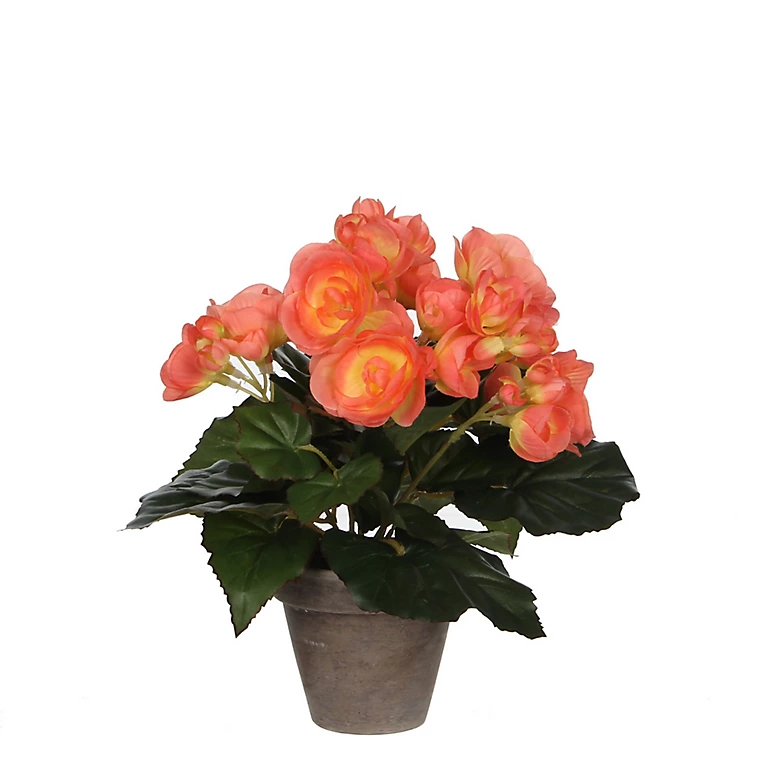 Castorama Begonia Saumon Artficiel ø20 X H.25 Cm En Pot Stan Gris ø9 Cm 3 Castorama Begonia Saumon Artficiel ø20 X H.25 Cm En Pot Stan Gris ø9 Cm