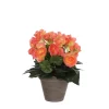 Castorama Begonia Saumon Artificiel ø25 X H.30 Cm En Pot Stan Gris ø11,5 Cm 1 Castorama Begonia Saumon Artificiel ø25 X H.30 Cm En Pot Stan Gris ø11,5 Cm -Terreau, gazon, traitement, végétal, semence Soldes Boutique begonia saumon artificiel 25 x h 30 cm en pot stan gris 11 5 cm8712293775092 01c FR CF