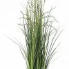 Castorama Berry Onion Grass Artificiel H.120 Cm 1 Castorama Berry Onion Grass Artificiel H.120 Cm -Terreau, gazon, traitement, végétal, semence Soldes Boutique berry onion grass artificiel h 120 cm3700543517016 01c FR CF