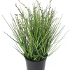 Castorama Berry Onion Grass Artificiel H.35 Cm -Terreau, gazon, traitement, végétal, semence Soldes Boutique berry onion grass artificiel h 35 cm3700543517030 01c FR CF