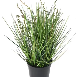 Castorama Berry Onion Grass Artificiel H.35 Cm