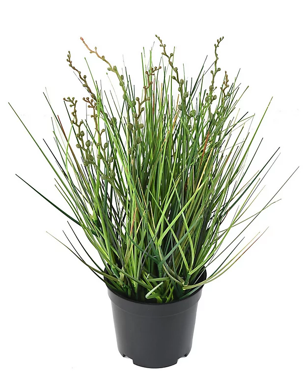Castorama Berry Onion Grass Artificiel H.35 Cm 3 Castorama Berry Onion Grass Artificiel H.35 Cm