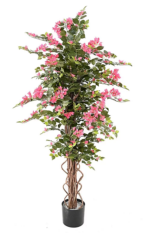 Castorama Bougainvillée Artificiel 3 Castorama Bougainvillée Artificiel