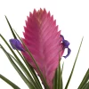 Castorama Bromélia, Assortiment, Pot 9cm -Terreau, gazon, traitement, végétal, semence Soldes Boutique bromelia assortiment pot 9cm3663602463429 36c