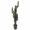 Castorama Cactus Finger Artificiel H.150 Cm -Terreau, gazon, traitement, végétal, semence Soldes Boutique cactus finger artificiel h 150 cm3700543516477 01c FR CF