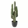 Castorama Cactus Finger Artificiel H.75 Cm 2 Castorama Cactus Finger Artificiel H.75 Cm -Terreau, gazon, traitement, végétal, semence Soldes Boutique cactus finger artificiel h 75 cm3700543516460 01c FR CF