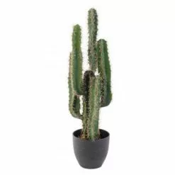 Castorama Cactus Finger Artificiel H.75 Cm