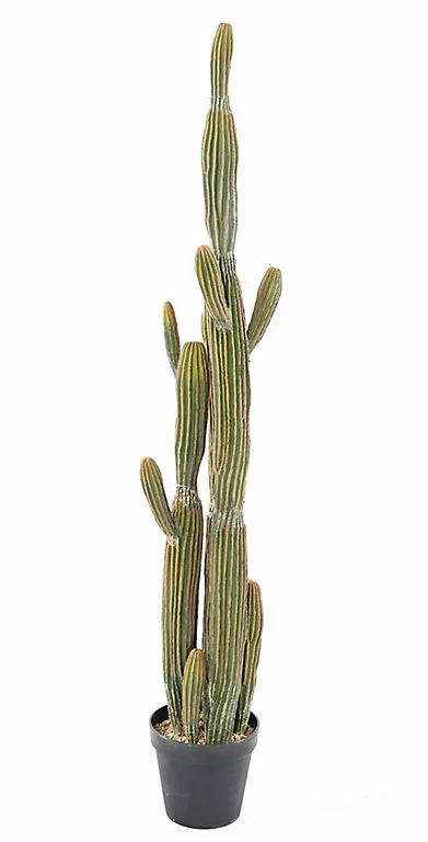 Castorama Cactus Finger X Artificiel H.150 Cm 3 Castorama Cactus Finger X Artificiel H.150 Cm