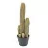 Castorama Cactus Finger X Artificiel H.60 Cm 1 Castorama Cactus Finger X Artificiel H.60 Cm -Terreau, gazon, traitement, végétal, semence Soldes Boutique cactus finger x artificiel h 60 cm3700543503859 01c FR CF
