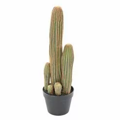 Castorama Cactus Finger X Artificiel H.60 Cm
