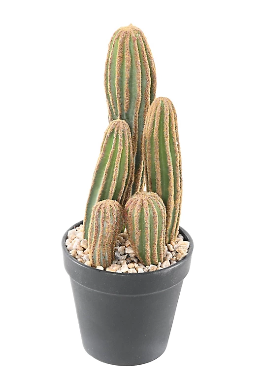 Castorama Cactus Finger X Artificiel H.95 Cm 3 Castorama Cactus Finger X Artificiel H.95 Cm