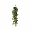 Castorama Chute De Fittonia Artificiel 80 X 30 X H.15 Cm -Terreau, gazon, traitement, végétal, semence Soldes Boutique chute de fittonia artificiel 80 x 30 x h 15 cm8712293532855 01c FR CF