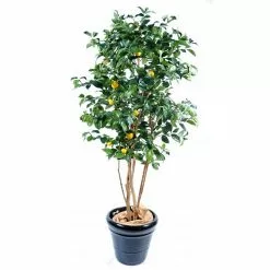 Castorama Citrus Artificiel H.140 Cm
