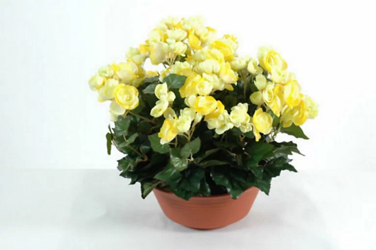 Castorama Coupe Begonia Artificiel 3 Piquets 3 Castorama Coupe Begonia Artificiel 3 Piquets