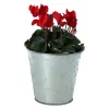 Castorama Cyclamen Avec Pot En Zinc 13 Cm -Terreau, gazon, traitement, végétal, semence Soldes Boutique cyclamen avec pot en zinc 13 cm5059340138657 21c