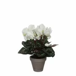 Castorama Cyclamen Blanc Artificiel ø30 X H.30 Cm En Pot Stan Gris ø11,5 Cm