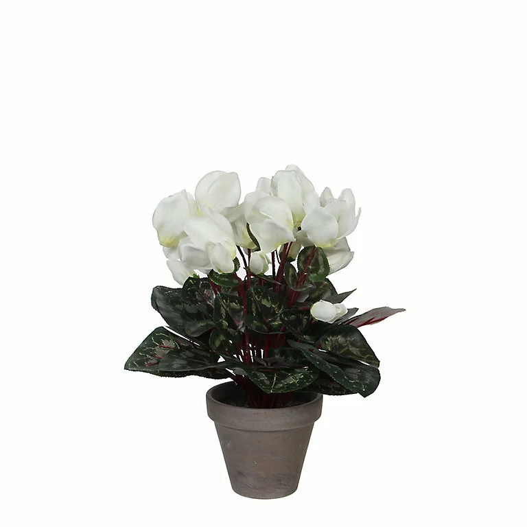 Castorama Cyclamen Blanc Artificiel ø30 X H.30 Cm En Pot Stan Gris ø11,5 Cm 3 Castorama Cyclamen Blanc Artificiel ø30 X H.30 Cm En Pot Stan Gris ø11,5 Cm