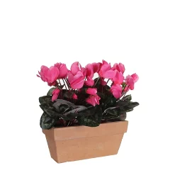 Castorama Cyclamen Rose Artificiel En Jardiniere Slate Terra 29 X 13 X H.33 Cm