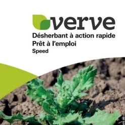 Castorama Désherbant à Action Rapide Verve Prêt à L'emploi 3L