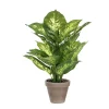 Castorama Dieffenbachia Vert Artificiel ø30 X H.40 Cm En Pot Stan Gris ø11,5 Cm 2 Castorama Dieffenbachia Vert Artificiel ø30 X H.40 Cm En Pot Stan Gris ø11,5 Cm -Terreau, gazon, traitement, végétal, semence Soldes Boutique dieffenbachia vert artificiel 30 x h 40 cm en pot stan gris 11 5 cm8712799124684 01c FR CF