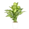 Castorama Diffenbach 21cm Avec Cache Pot Blanc -Terreau, gazon, traitement, végétal, semence Soldes Boutique diffenbach 21cm avec cache pot blanc8720053841505 01c FR CF