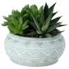 Castorama Ensemble De Succulentes, Pot 14cm -Terreau, gazon, traitement, végétal, semence Soldes Boutique ensemble de succulentes pot 14cm3663602463368 02c