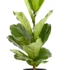 Castorama Ficus Lyrata 21cm Avec Cache Pot Pierre -Terreau, gazon, traitement, végétal, semence Soldes Boutique ficus lyrata 21cm avec cache pot pierre8720053841338 01c FR CF