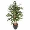 Castorama Ficus Tronc Simple Artificiel H.150 Cm 1 Castorama Ficus Tronc Simple Artificiel H.150 Cm -Terreau, gazon, traitement, végétal, semence Soldes Boutique ficus tronc simple artificiel h 150 cm3700543505785 01c FR CF