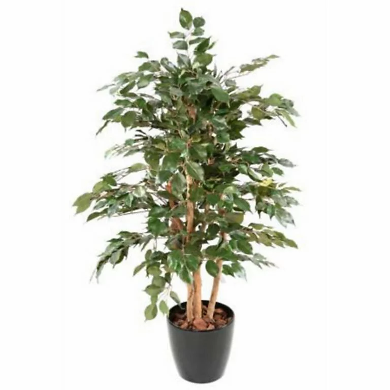 Castorama Ficus Tronc Simple Artificiel H.150 Cm 3 Castorama Ficus Tronc Simple Artificiel H.150 Cm