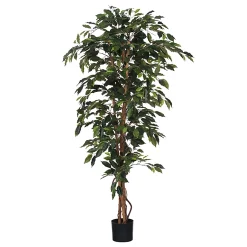 Castorama Ficus Vert Artifciel En Pot Plastique ø100 X H.180 Cm