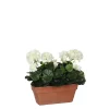 Castorama Geranium Blanc Articiciel En Jardinière Terra 29 X 13 X H.40 Cm 1 Castorama Geranium Blanc Articiciel En Jardinière Terra 29 X 13 X H.40 Cm -Terreau, gazon, traitement, végétal, semence Soldes Boutique geranium blanc articiciel en jardiniere terra 29 x 13 x h 40 cm8718861426656 01c FR CF